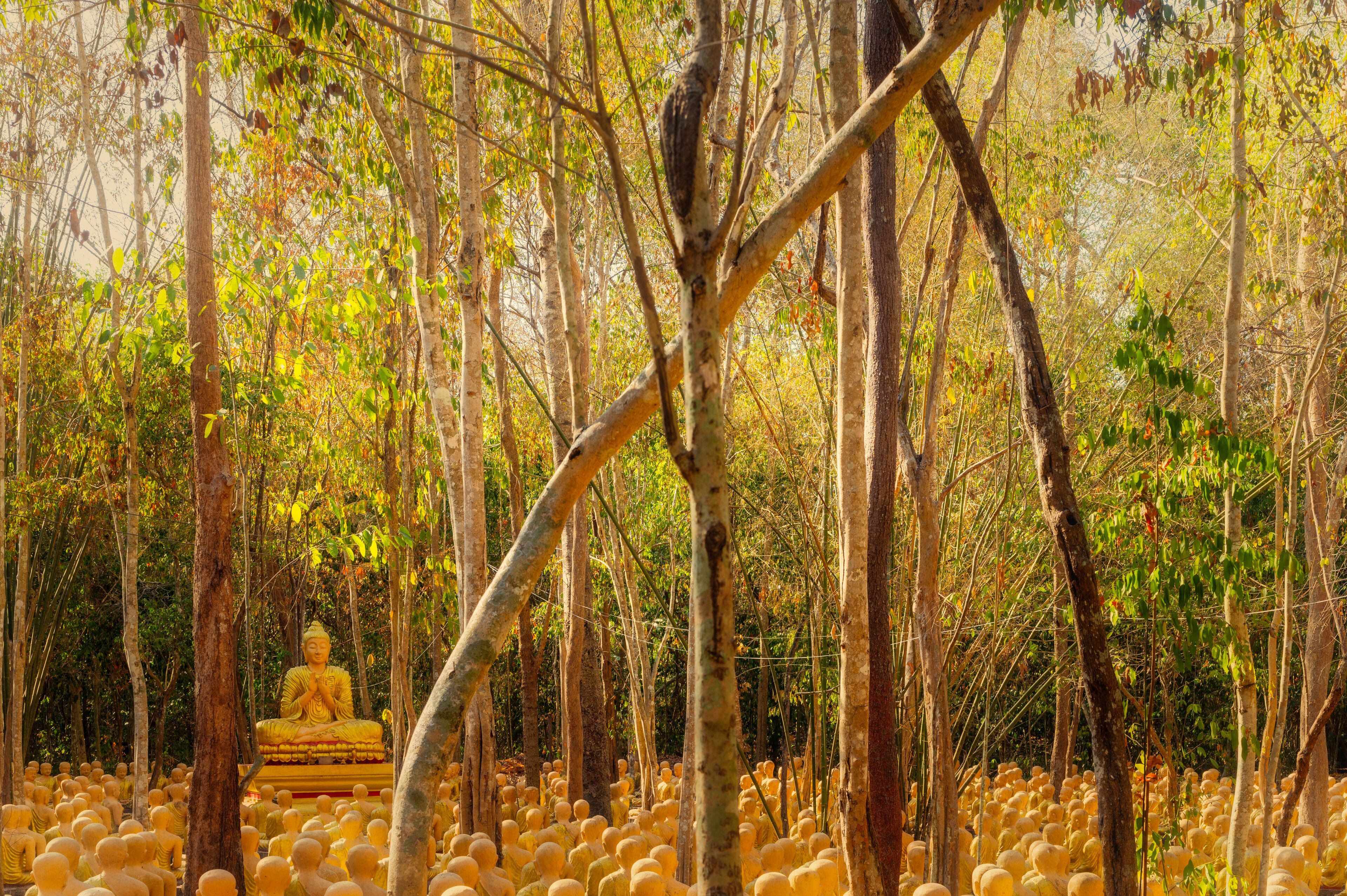 Plaeng Yao District, Chachoengsao / Thailand / February 16, 2020 : Wat Krok Kaeo Wong Phra Chan. There is a Buddhist architecture suitable for learning..