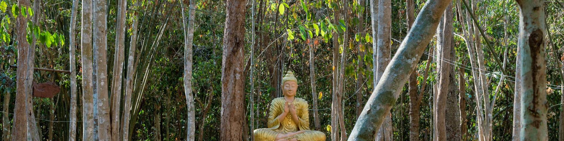 Plaeng Yao District, Chachoengsao / Thailand / February 16, 2020 : Wat Krok Kaeo Wong Phra Chan. There is a Buddhist architecture suitable for learning..