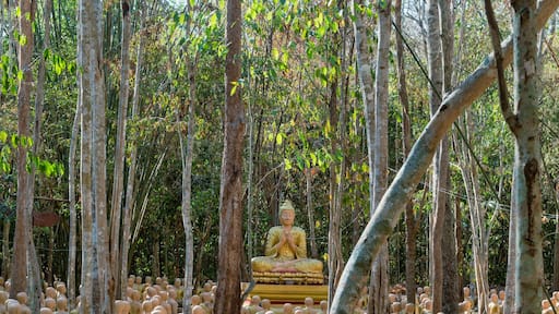 Plaeng Yao District, Chachoengsao / Thailand / February 16, 2020 : Wat Krok Kaeo Wong Phra Chan. There is a Buddhist architecture suitable for learning..