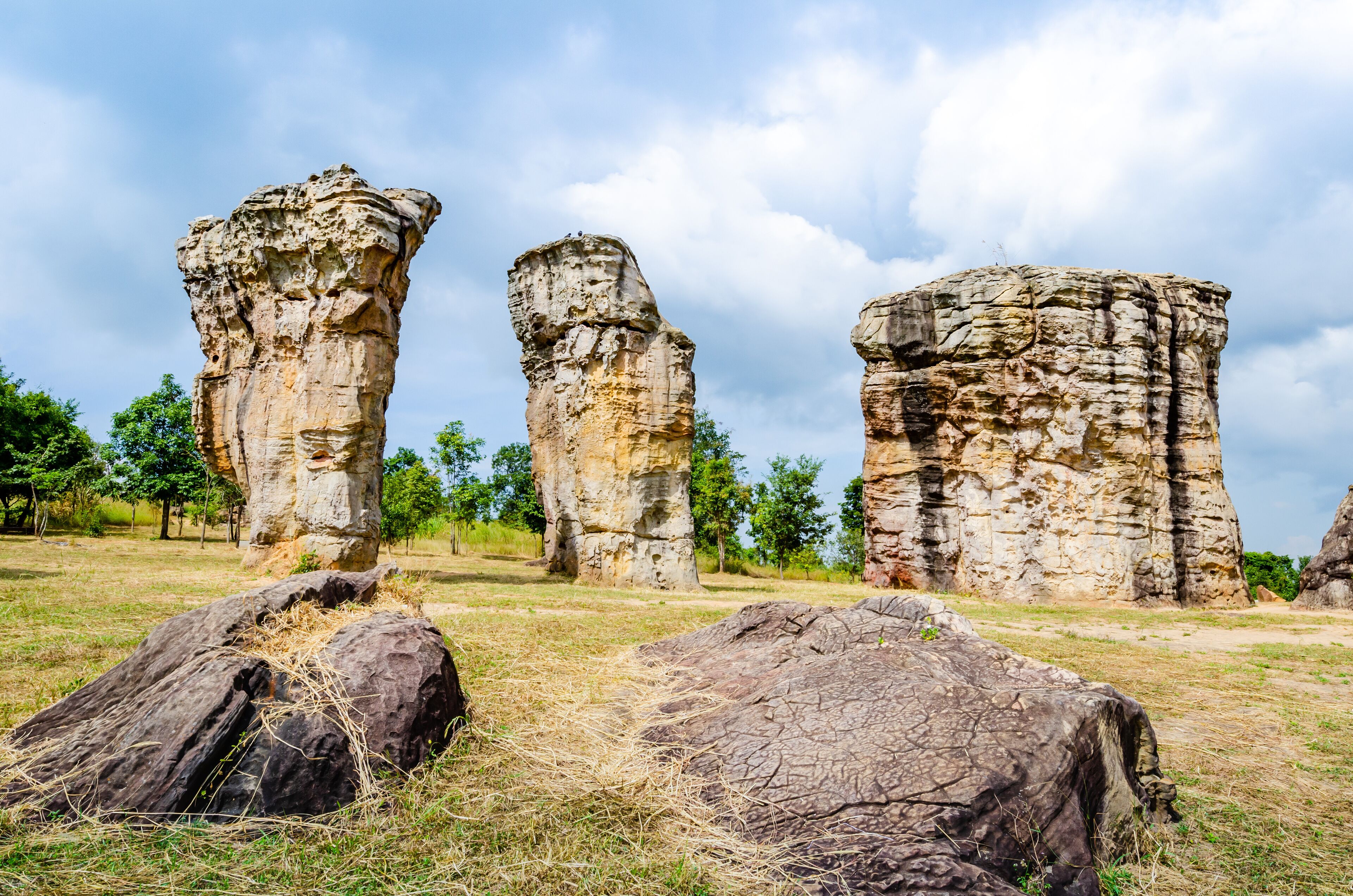 Three large rock formations in a grassy field with trees in the background.