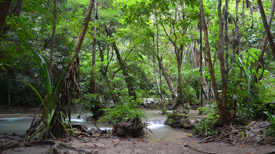 Erawan National Park, Thailand - Level 1 Waterfalls, Lhai Keun Lung