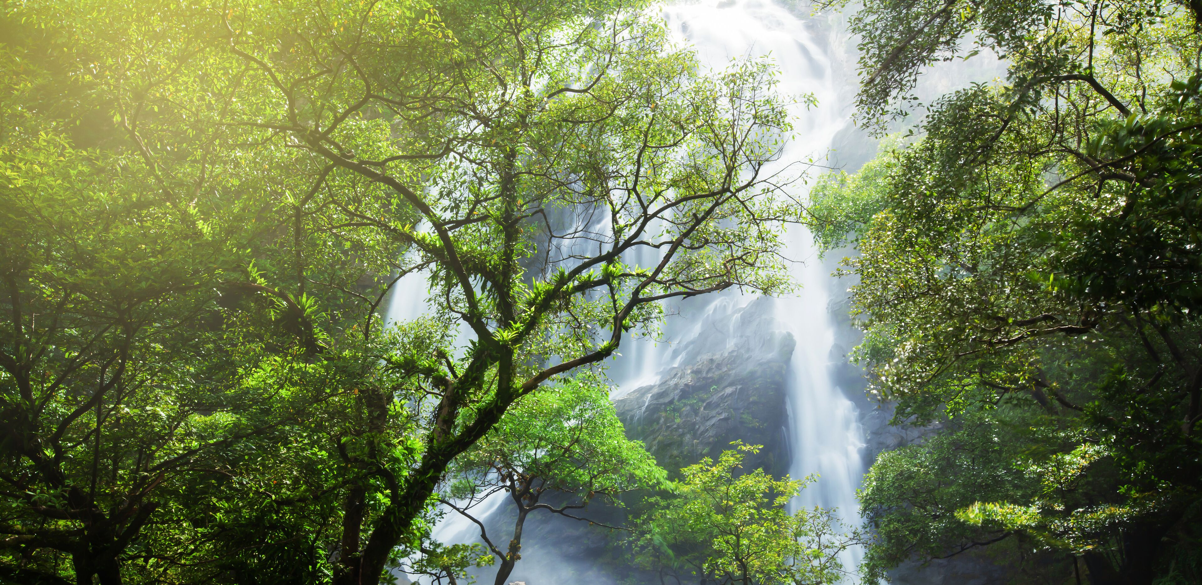 Gorgeous tropical waterfall at sunrise.