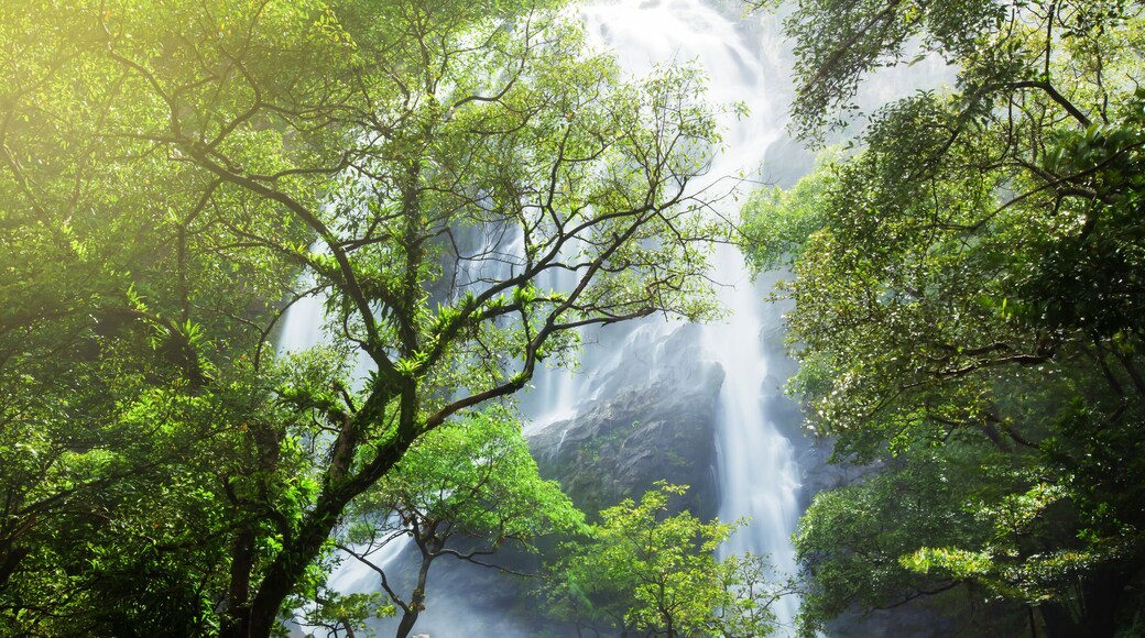 Gorgeous tropical waterfall at sunrise.