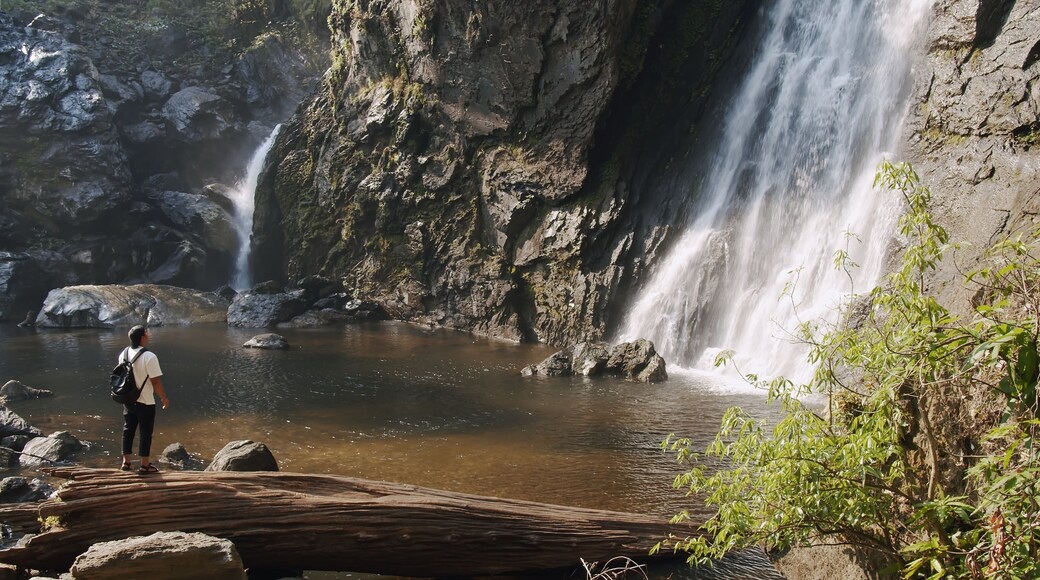 Young tourist traveler man standing enjoy wonderful tropical amazing Khlong Lan Waterfall in Klong Lan National Park, beautiful falling water at Kamphaeng Phet, Thailand, Travel vacation nature