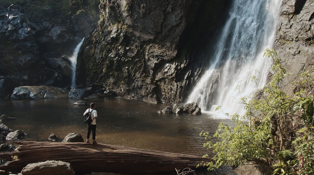 Young tourist traveler man standing enjoy wonderful tropical amazing Khlong Lan Waterfall in Klong Lan National Park, beautiful falling water at Kamphaeng Phet, Thailand, Travel vacation nature