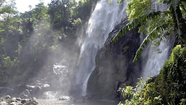 #KhlongLan #Waterfall #KamphaengPhet #NationalPark #NorthThailand
#Thailand #Backpacking #TravelPhotography #Nikon #TravelBlogger
See you also on Instagram: ExploreWithSeba