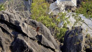 #Chalermprakiat #PuYak #Mountain #Temple
#Lampang #NorthThailand #Hiking #ThaiTemple #Thailand #Backpacking #TravelPhotography #TravelBlogger
See you also on Instagram: ExploreWithSeba
