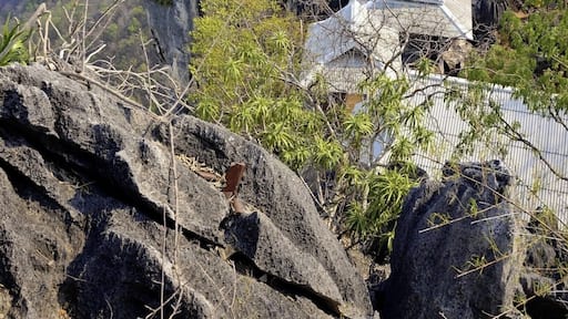 #Chalermprakiat #PuYak #Mountain #Temple
#Lampang #NorthThailand #Hiking #ThaiTemple #Thailand #Backpacking #TravelPhotography #TravelBlogger
See you also on Instagram: ExploreWithSeba