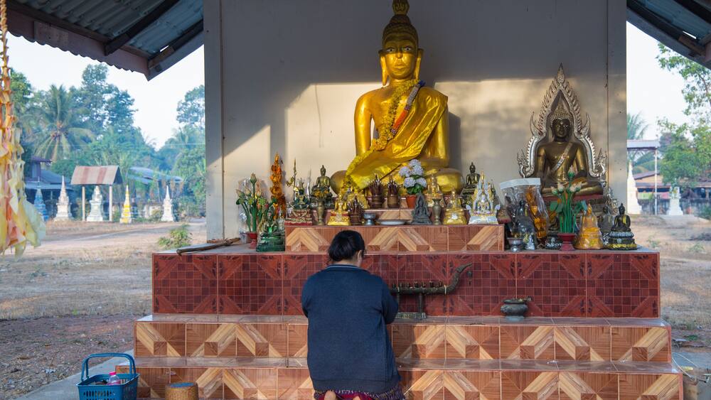 Faithful buddhist woman prays in the Akat Amnuai temple, Sakon Nakhon province, Isan, Thailand