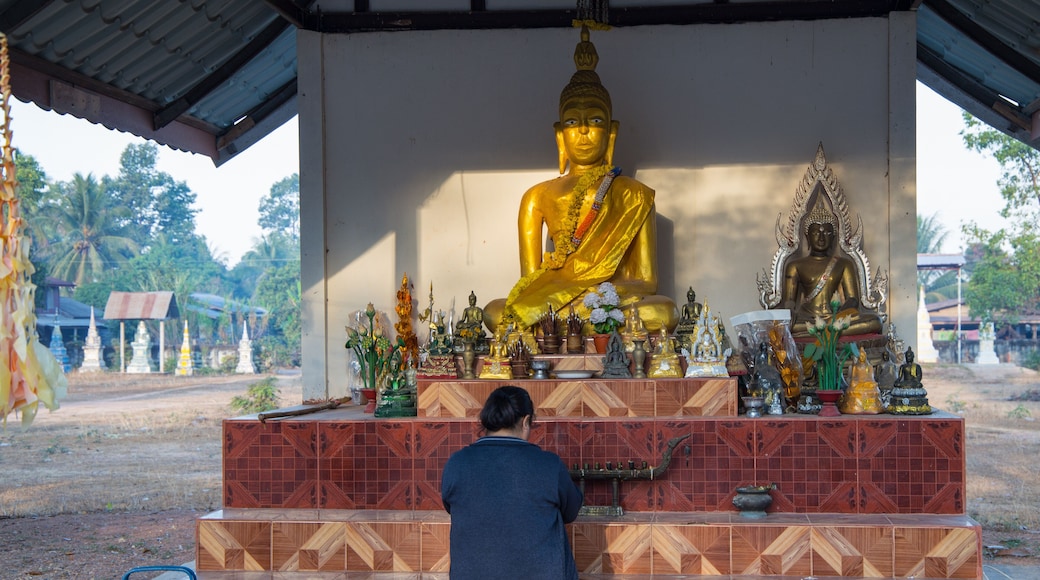 Faithful buddhist woman prays in the Akat Amnuai temple, Sakon Nakhon province, Isan, Thailand