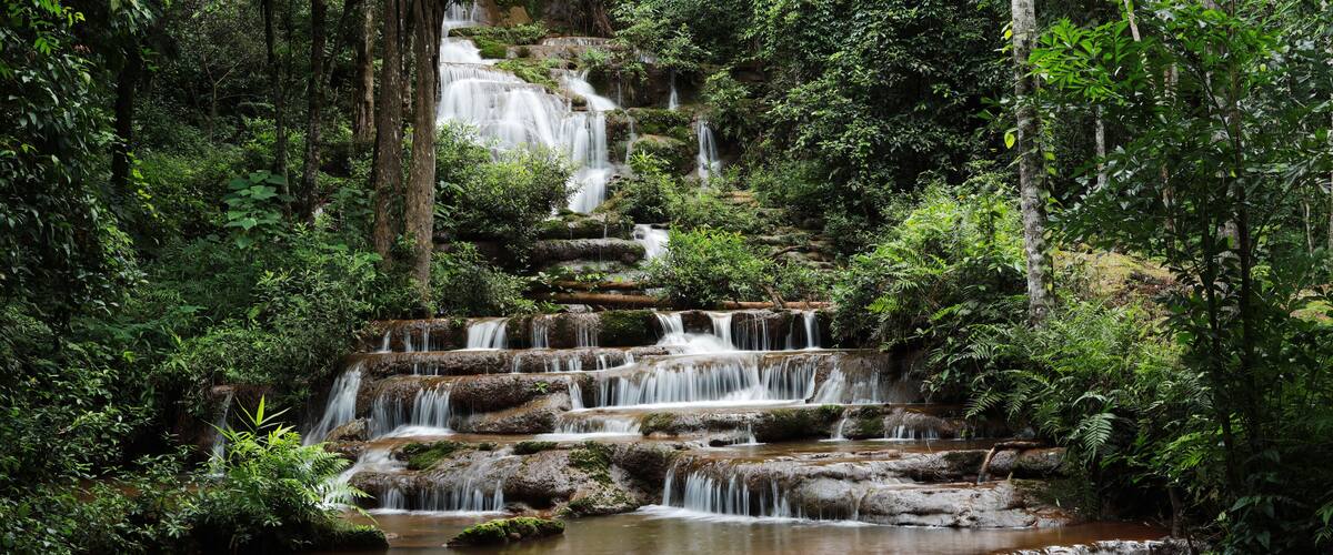A multi-tiered waterfall surrounded by dense forest.