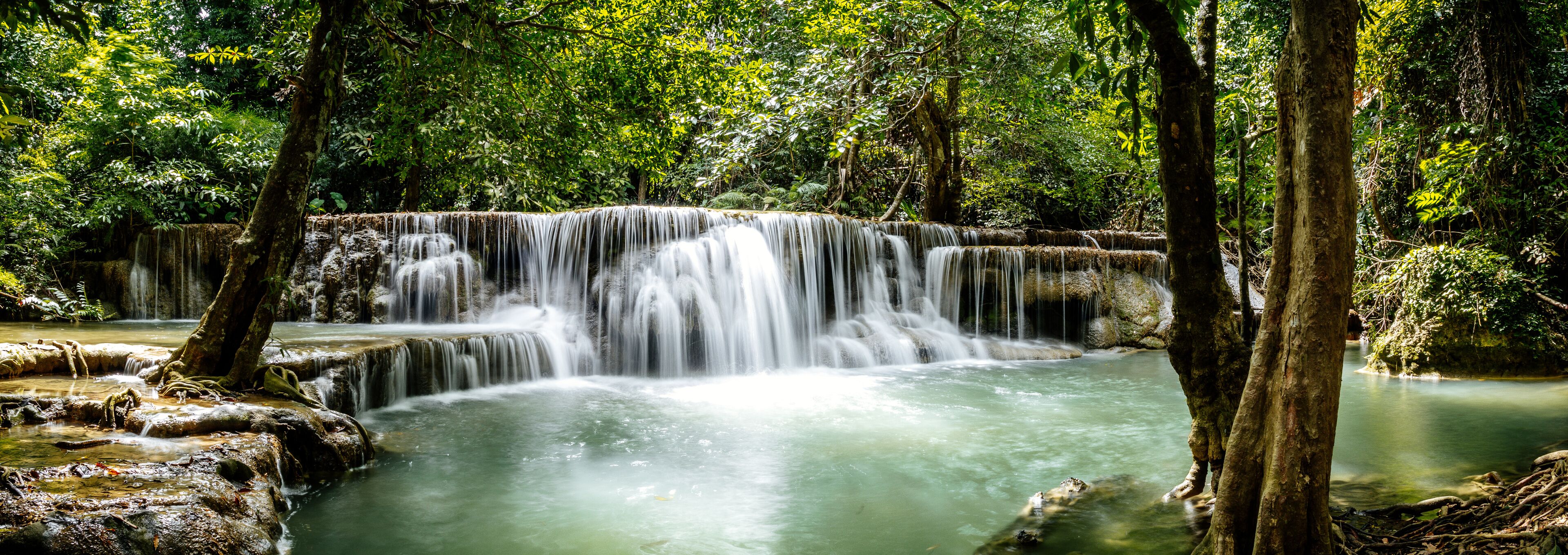 سريناجاريندرا