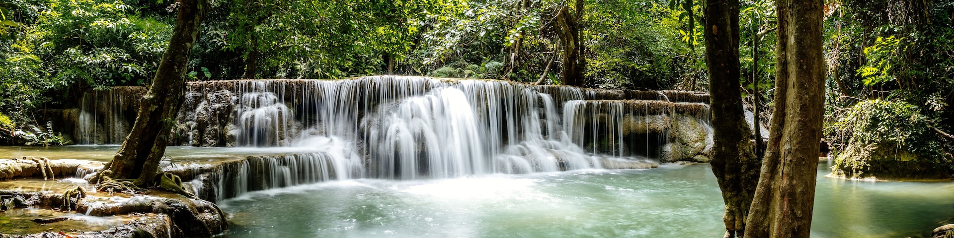 Uma cascata deságua em uma piscina límpida, cercada por mata densa.