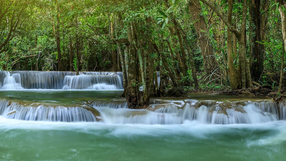A waterfall in a dense forest.