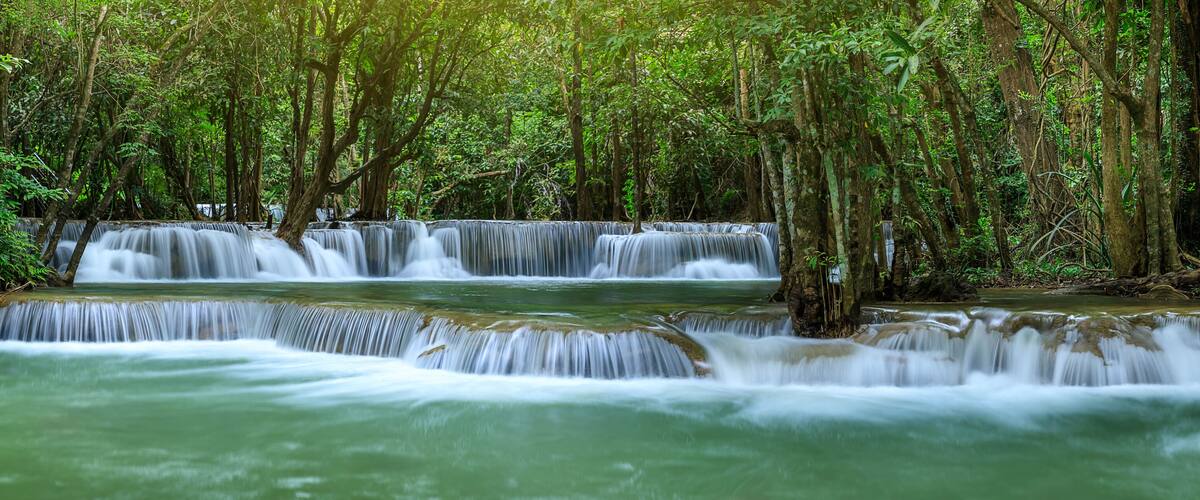 A waterfall in a dense forest.