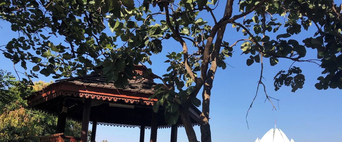 A gazebo by a lake with a lotus-shaped building in the background.