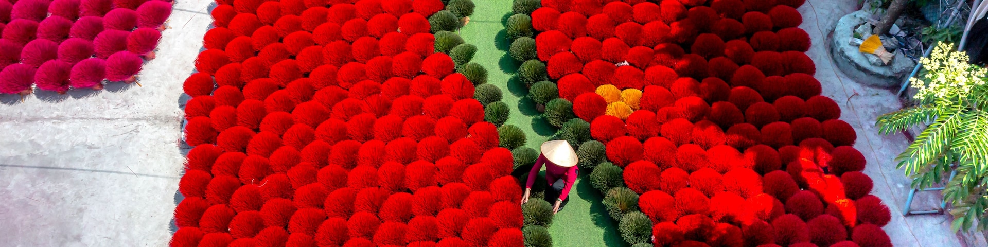 Um amplo jardim florido, com arranjos cuidadosos e um caminho central.