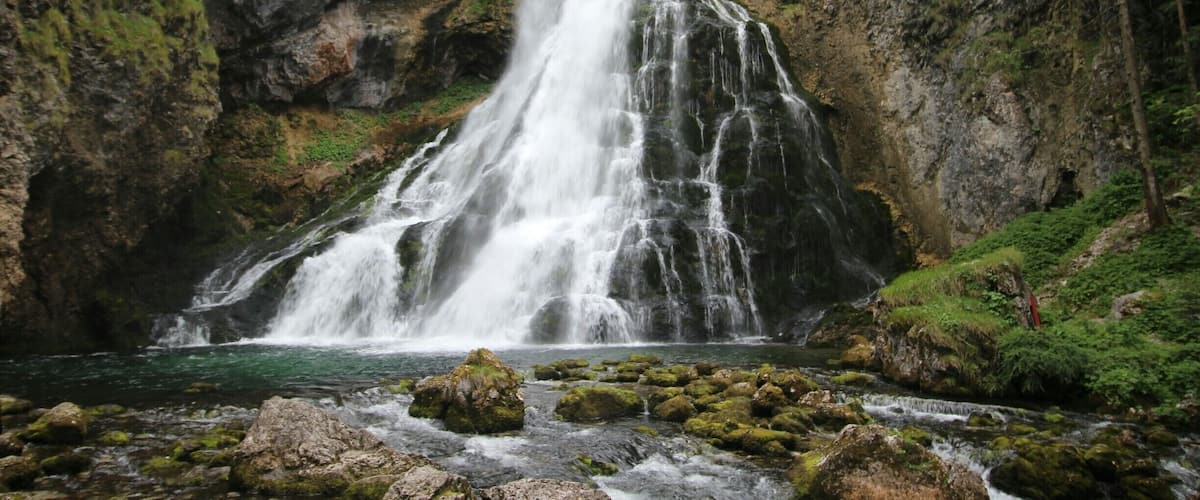 Una cascada fluye sobre un risco rocoso, rodeada de exuberante vegetación.