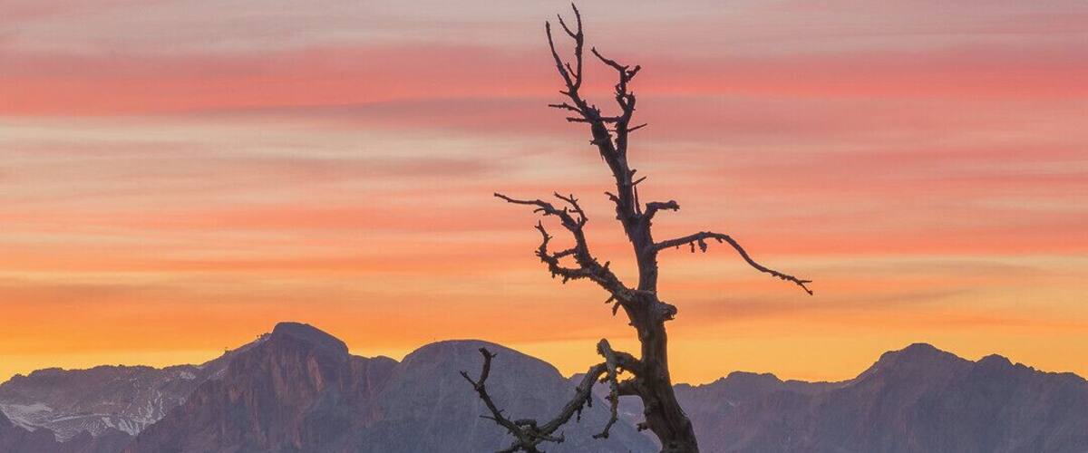 Amazing sunset at Salfeiner See last fall. It is an easy one hour hike from the parking, but right now everything is covered in snow...
I can't wait for the summer to start...
#mountains
#sunset #BvSMountains