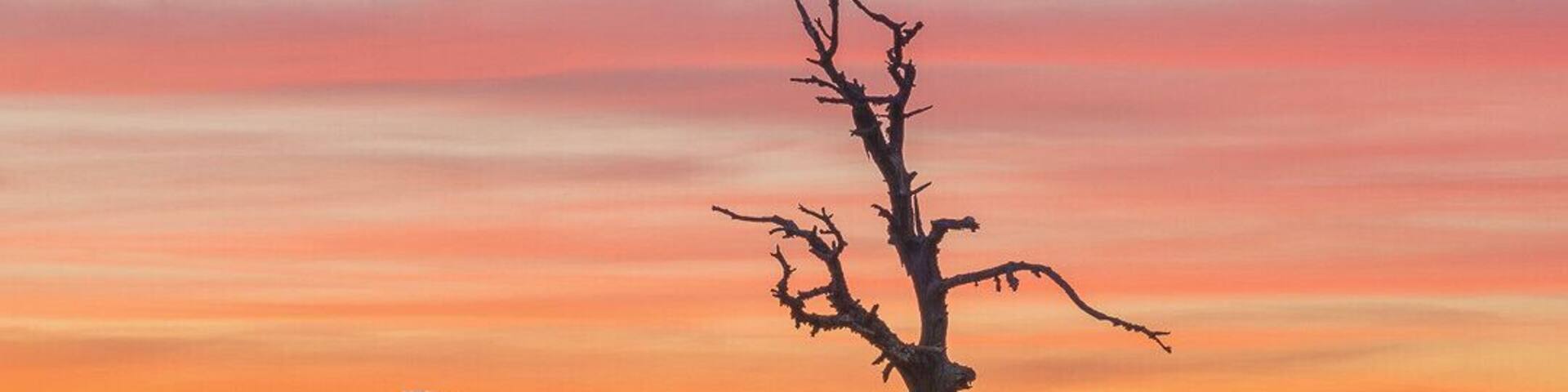 Amazing sunset at Salfeiner See last fall. It is an easy one hour hike from the parking, but right now everything is covered in snow...
I can't wait for the summer to start...
#mountains
#sunset #BvSMountains