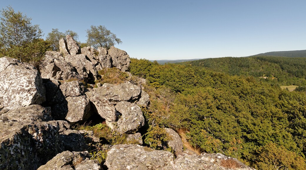 Vue vers le sud depuis le sommet du Rez de Sol, le plus long filon de quartz du Massif Central, situé à 943 m d'altitude dans les Bois noirs.
