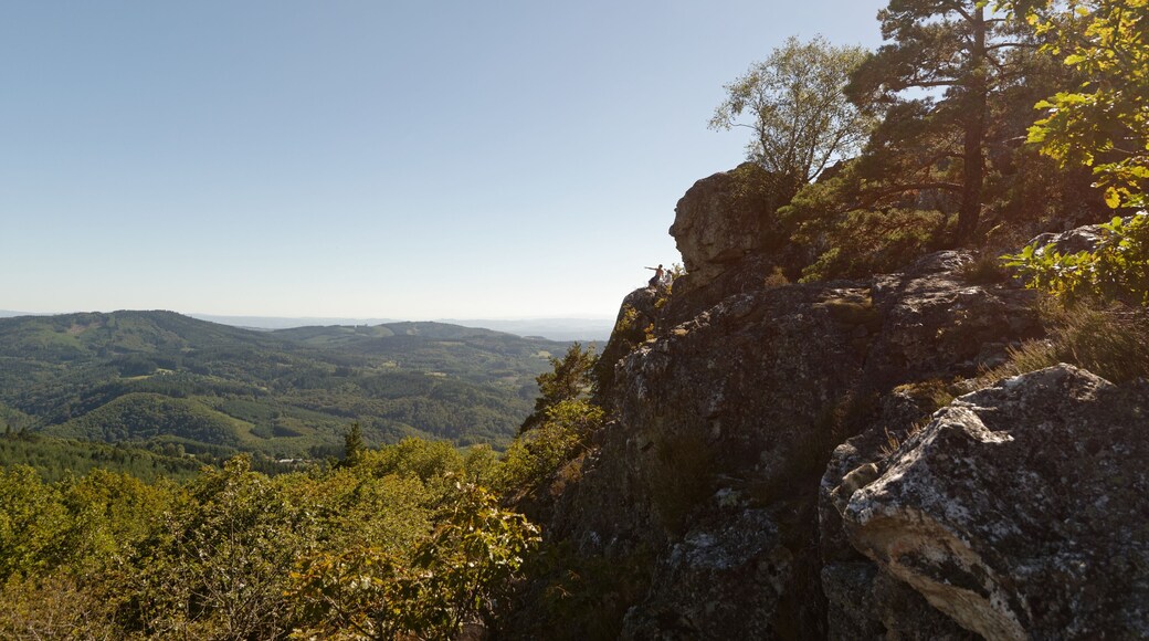 Vue vers le sud depuis le sommet du Rez de Sol, le plus long filon de quartz du Massif Central, situé à 943 m d'altitude dans les Bois noirs.