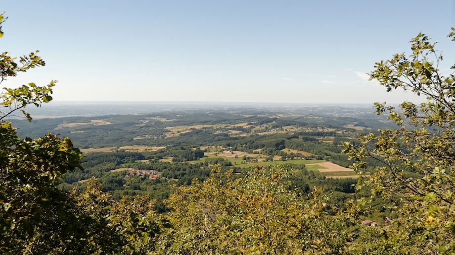 A panoramic view of a lush valley with dense forests and scattered fields.