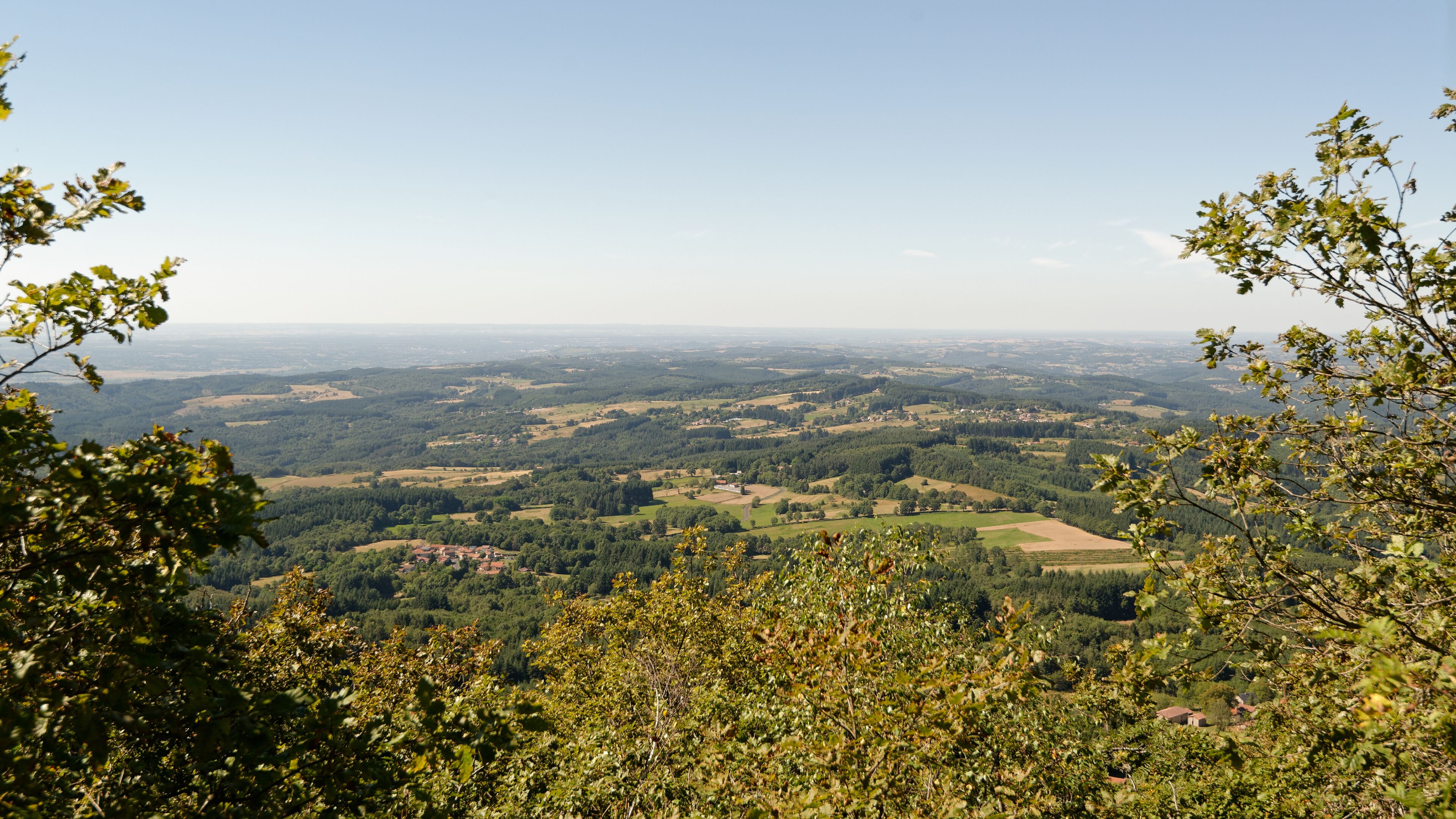 A panoramic view of a lush valley with dense forests and scattered fields.