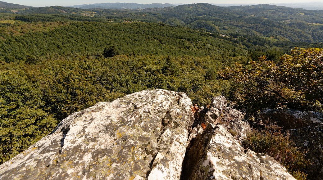 Vue vers le sud depuis le sommet du Rez de Sol, le plus long filon de quartz du Massif Central, situé à 943 m d'altitude dans les Bois noirs.