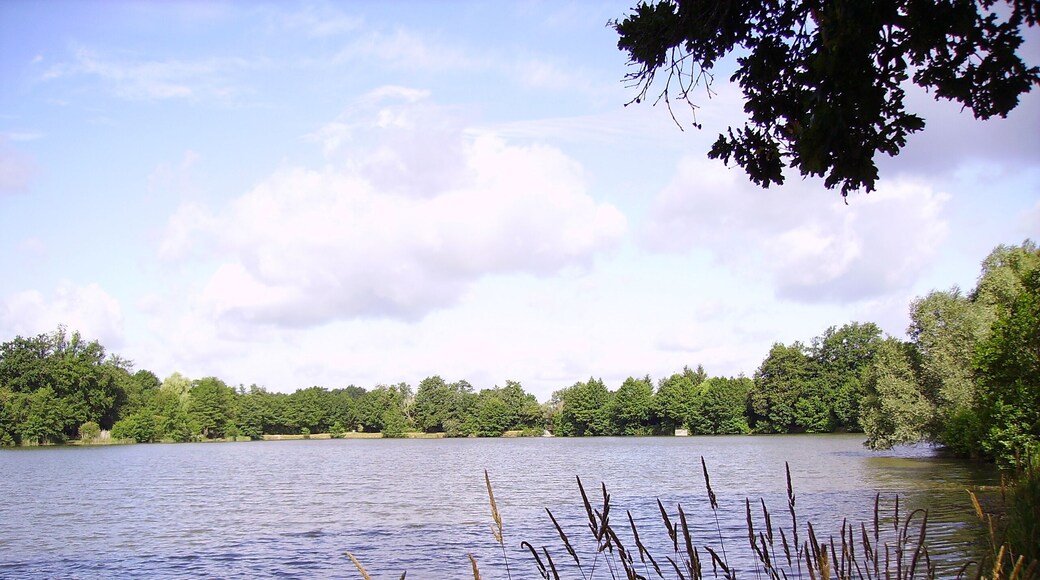 Saint-Amand-en-Puisaye, Bourgogne.