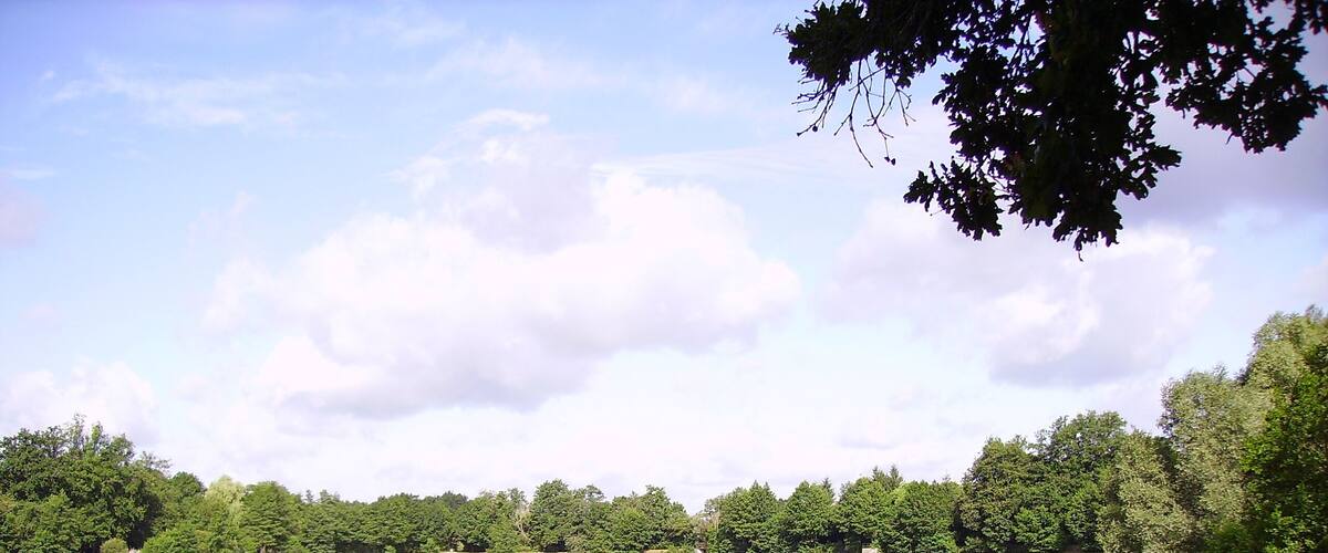 A calm lake surrounded by dense trees and a clear sky.
