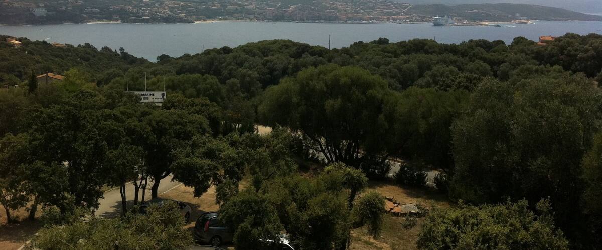 A coastal landscape with a bay, mountains in the background, and dense green trees in the foreground.