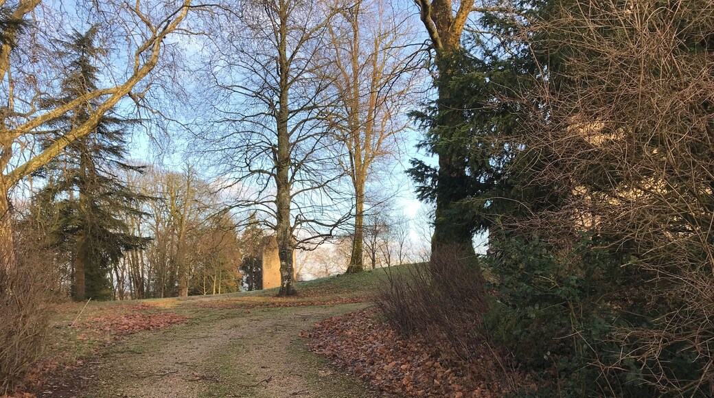 Rans en janvier 2018.