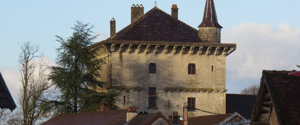 A historic stone building with a pointed tower and a large tree in the foreground.