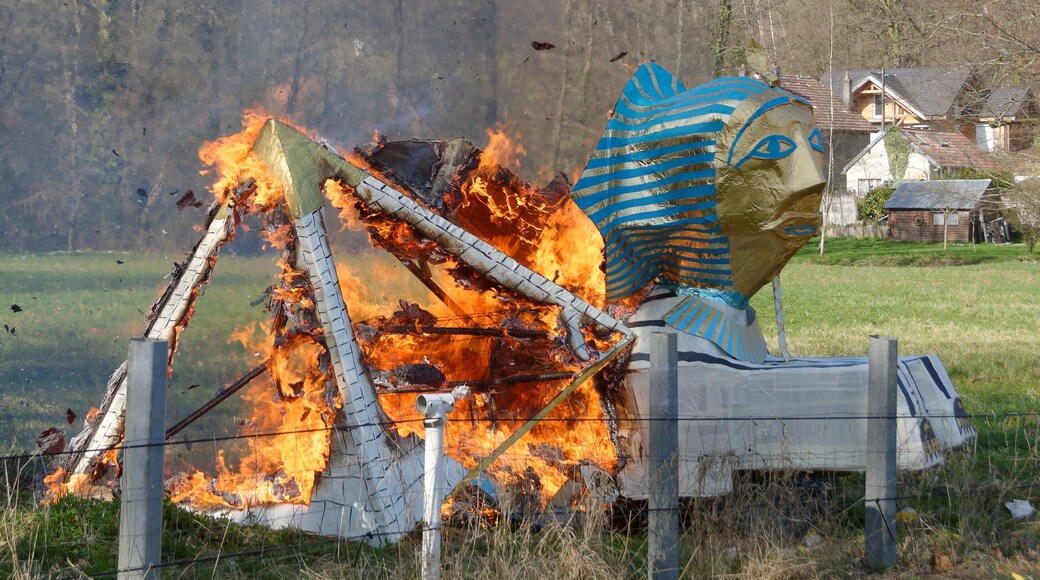 This file was uploaded with Commonist. Carnaval de Chagey 2017.