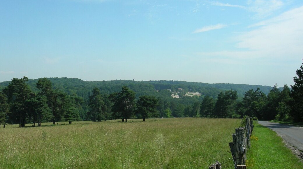 NOTE: This image is a panorama consisting of multiple frames that were merged or stitched in software. As a result, this image necessarily underwent some form of digital manipulation. These manipulations may include blending, blurring, cloning, and color and perspective adjustments. As a result of these adjustments, the image content may be slightly different than reality at the points where multiple images were combined. This manipulation is often required due to lens, perspective, and parallax distortions.