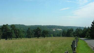 A grassy field with scattered trees and a road in the distance.