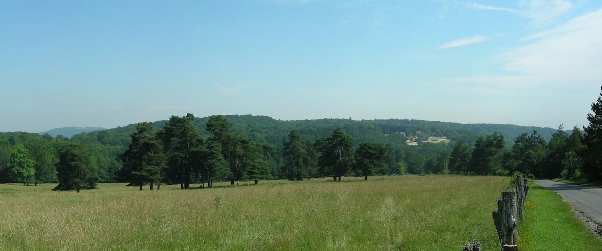 A grassy field with scattered trees and a road in the distance.