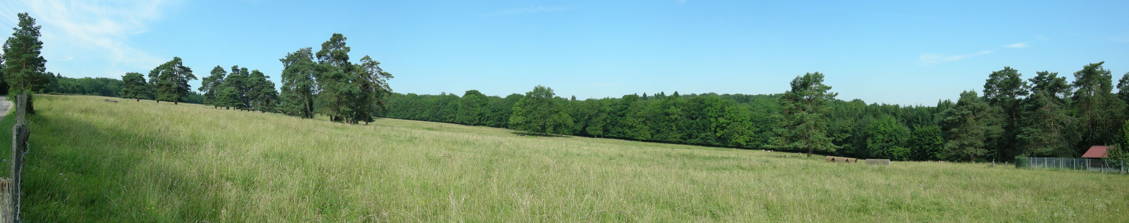 NOTE: This image is a panorama consisting of multiple frames that were merged or stitched in software. As a result, this image necessarily underwent some form of digital manipulation. These manipulations may include blending, blurring, cloning, and color and perspective adjustments. As a result of these adjustments, the image content may be slightly different than reality at the points where multiple images were combined. This manipulation is often required due to lens, perspective, and parallax distortions.