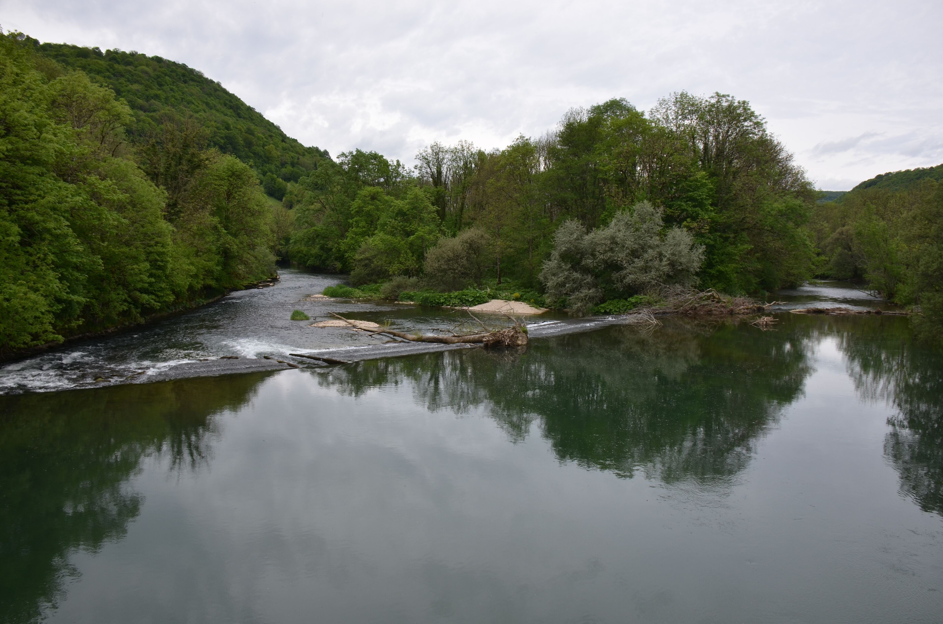 A calm river surrounded by dense green forest and hills.