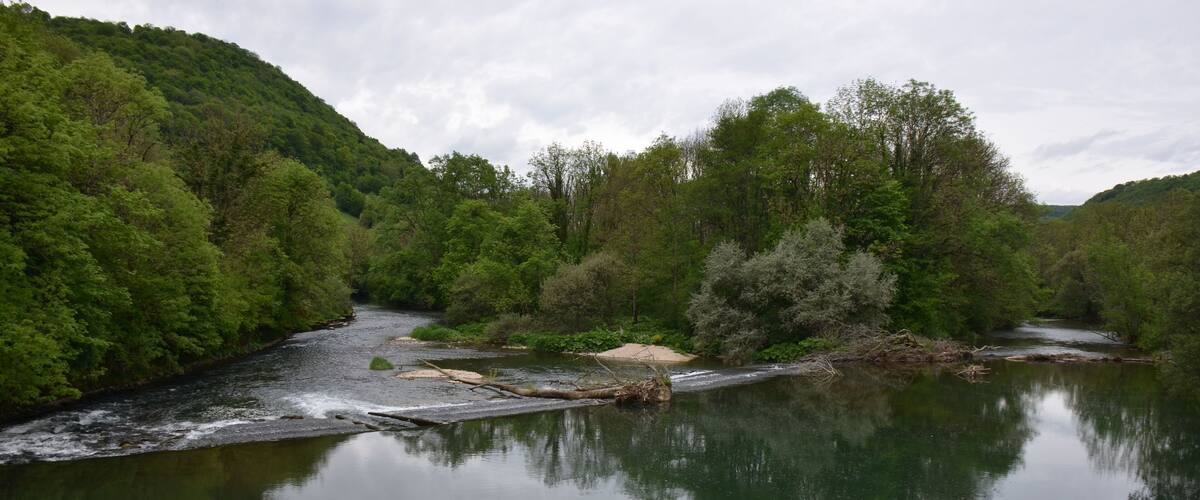 A calm river surrounded by dense green forest and hills.