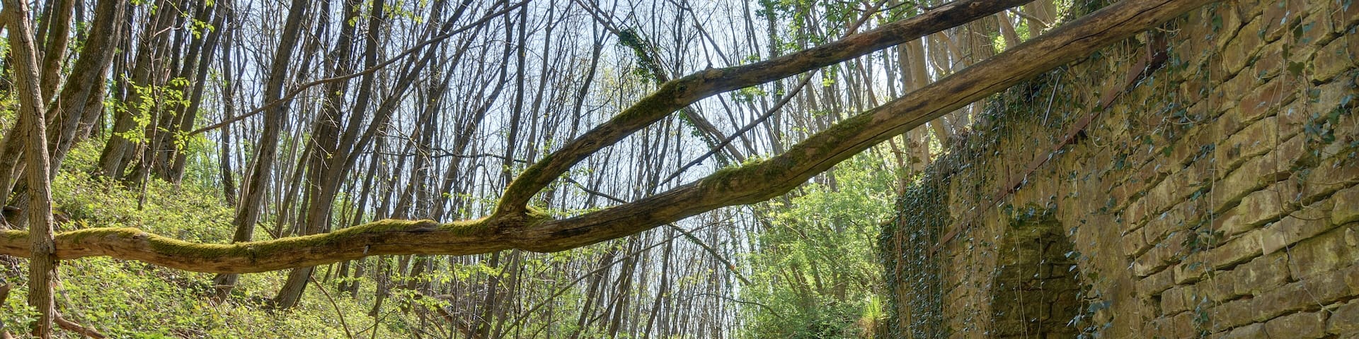Dans la rue des remparts. Roppe fortifications (HDR).