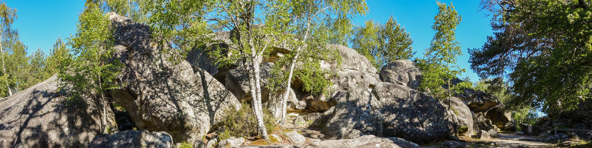 fontainebleau forest landscape