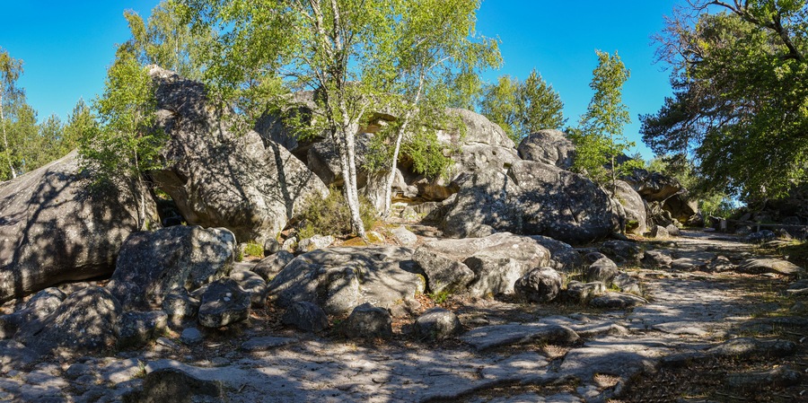 fontainebleau forest landscape