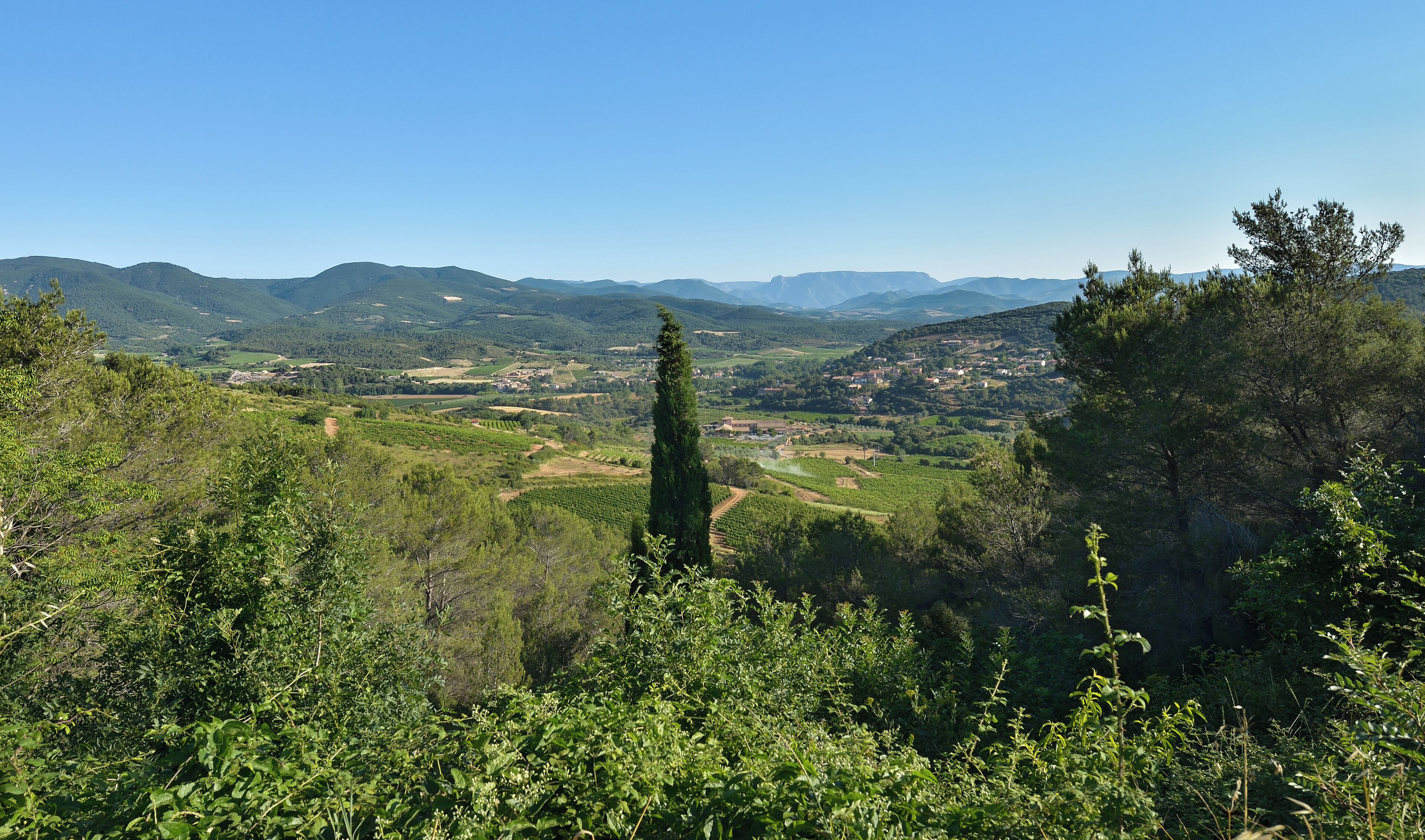 A lush valley with rolling hills, vineyards, and a clear blue sky.
