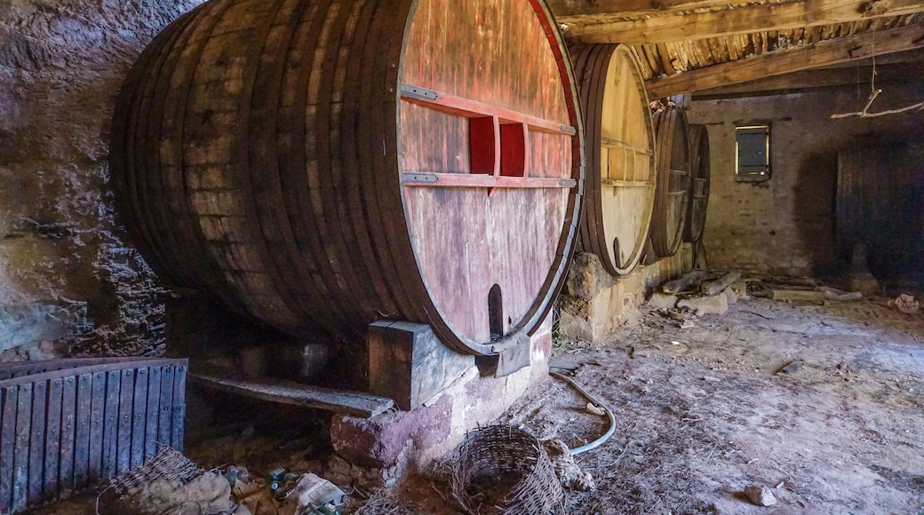 Very old barriques in a deserted chateau
