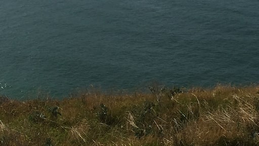 Such of wonderful place full of history