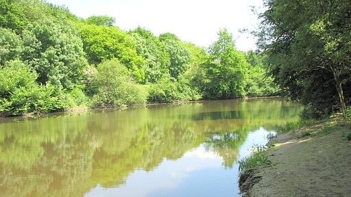 Presqu'île, Goule du ruisseau