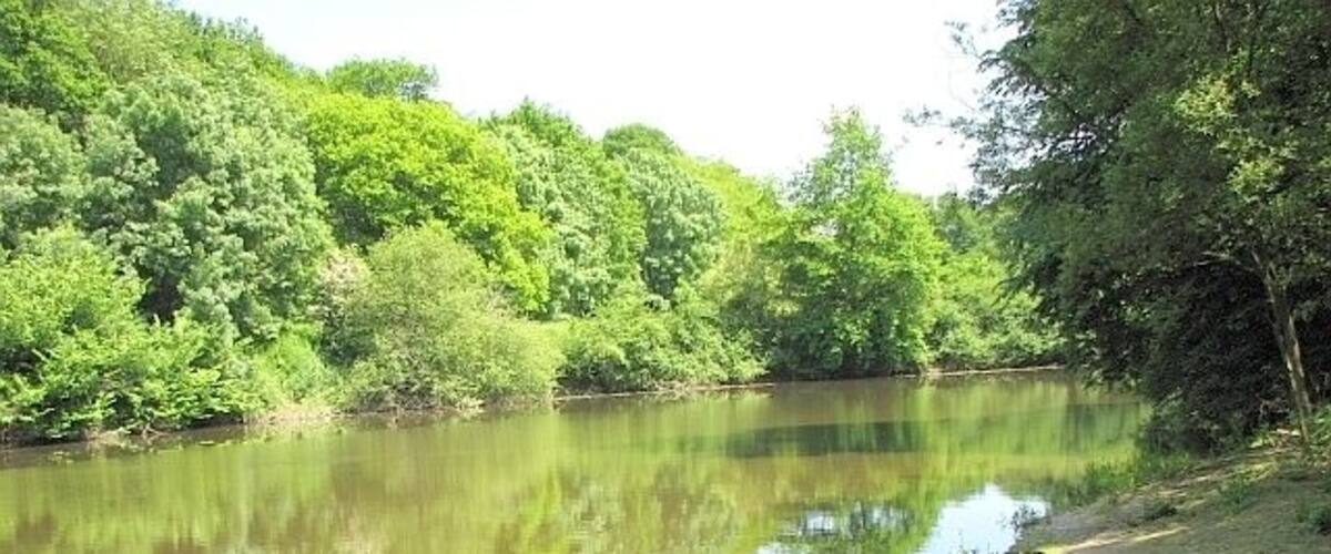 A calm river surrounded by dense green trees and a sandy bank.