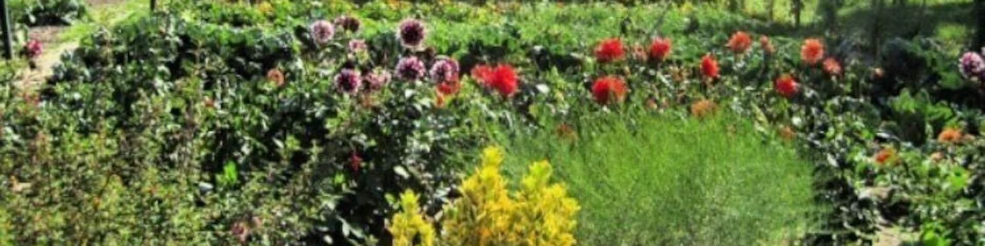 Wonderful kitchengarden đ
đ„ (Ognolles - France)
May 2012 - Samsung Galaxy SII
#Ognolles #Oise #France #Kitchengarden #Europe